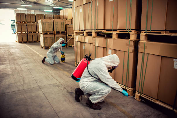 Best Termite Control Services  in Tonka Bay, MN