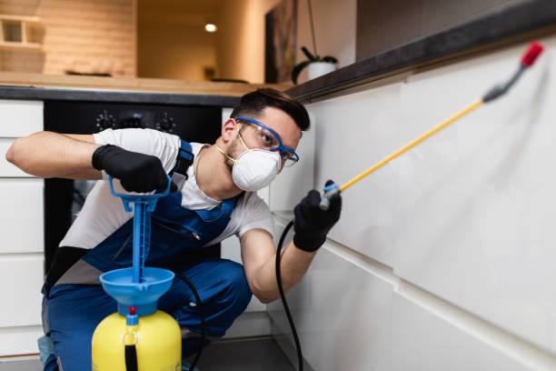 Best Residential Pest Control  in Tonka Bay, MN