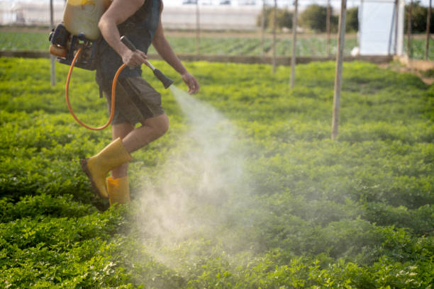 Best Affordable Pest Control Services  in Tonka Bay, MN