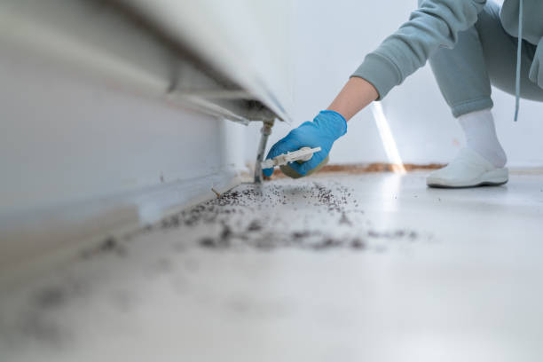 Reliable Tonka Bay, MN Pest Control Solutions