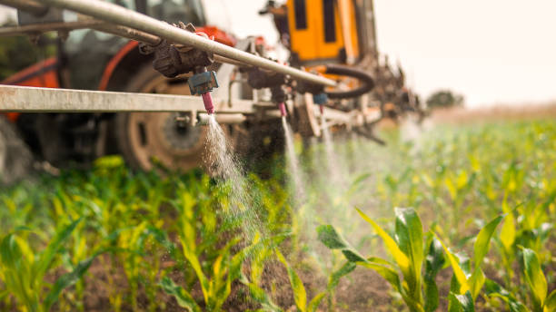 Best Mosquito Control Services  in Tonka Bay, MN